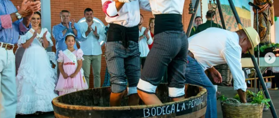 Captura de pantalla 2025-09-10 130710