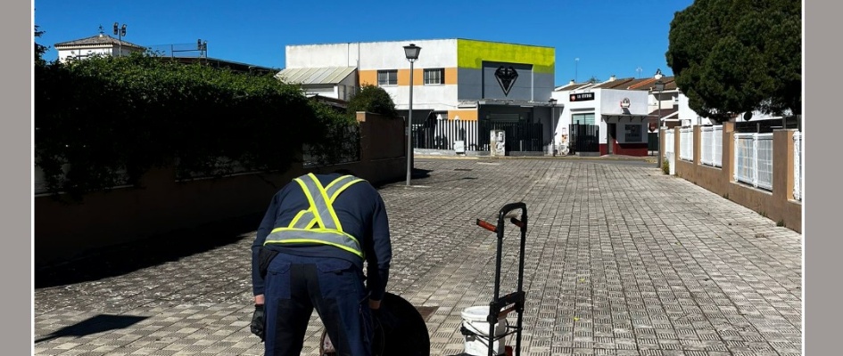 Fumigación